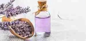 عريف أوغلو Arifoğlu زيت اللافندر ( الخزامى ) 20 مل